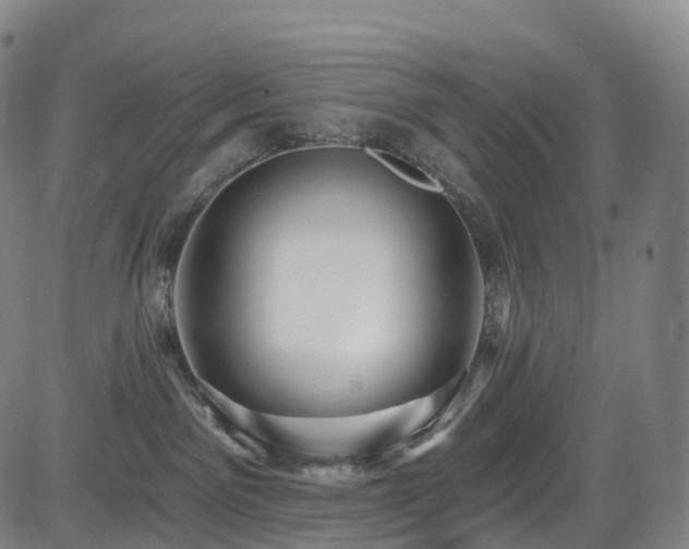X0000085320141200703091521