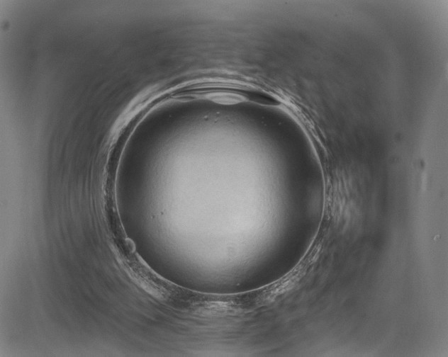 X0000085320151200703091520