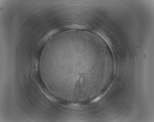 X0000085320157200703091520