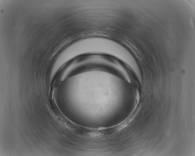 X0000085320158200703091520