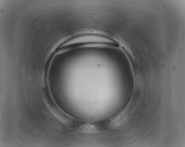 X0000085320159200703091520