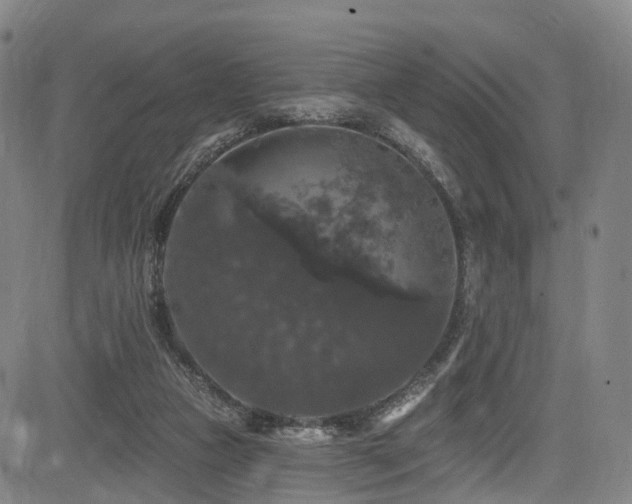X0000085320161200703091520