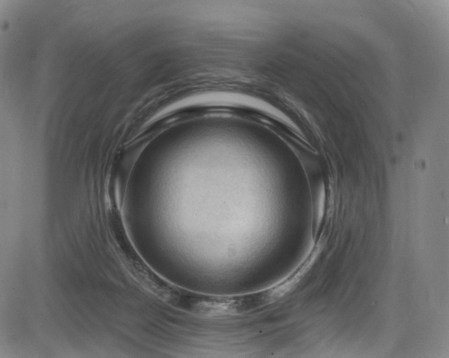 X0000085320170200703091520