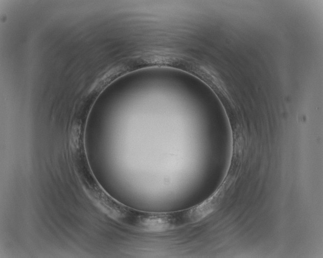 X0000085320171200703091520