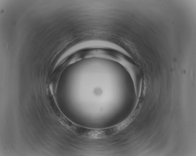 X0000085320172200703091520