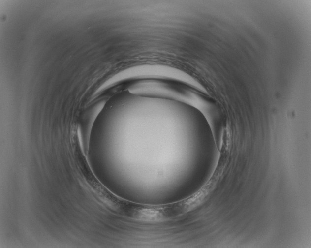 X0000085320176200703091520