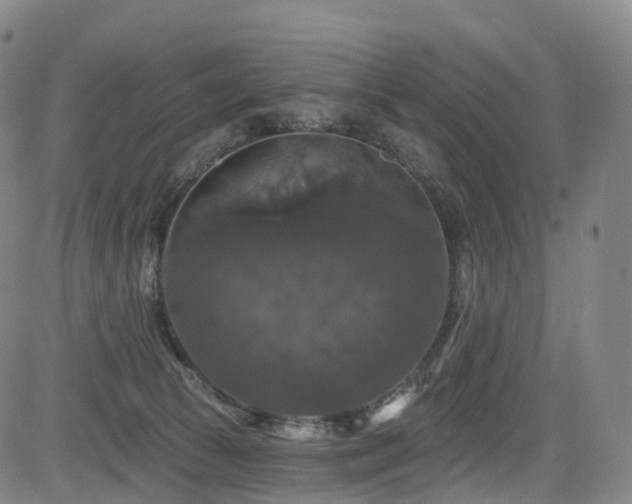 X0000085320177200703091520