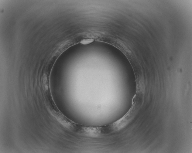 X0000085320187200703091521