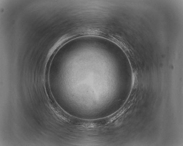 X0000085320195200703091520