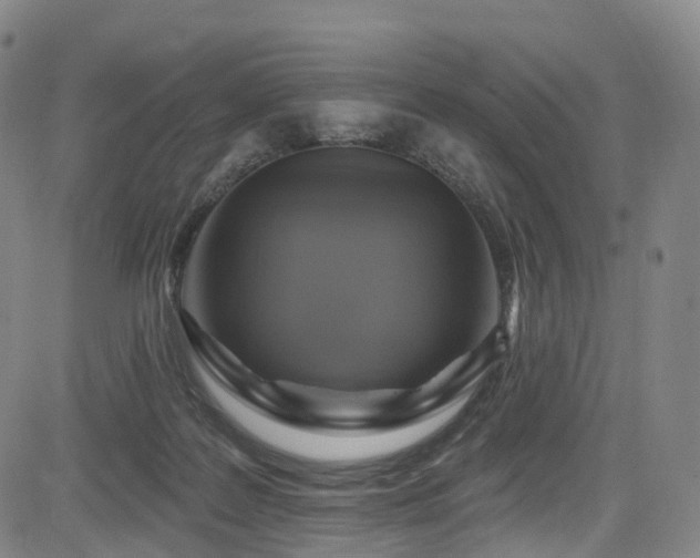 X0000085320219200703091519