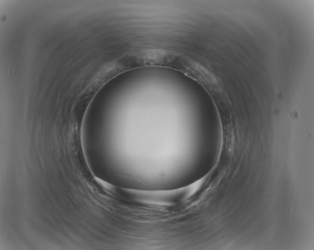X0000085320225200703091519