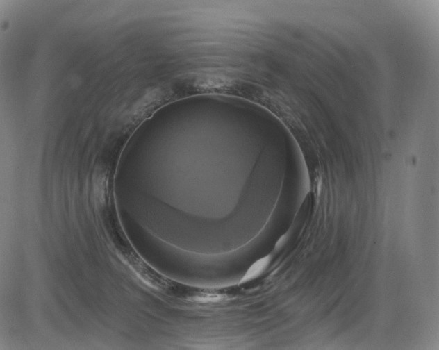 X0000085320227200703091519
