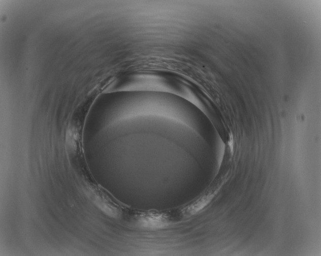 X0000085320235200703091519