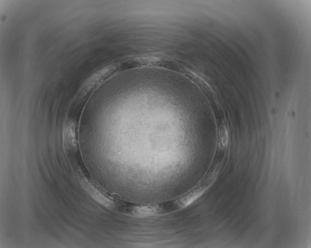 X0000085320238200703091519