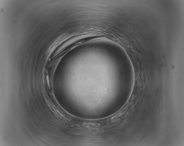X0000085320242200703091518