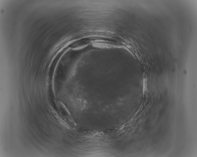 X0000085320243200703091518