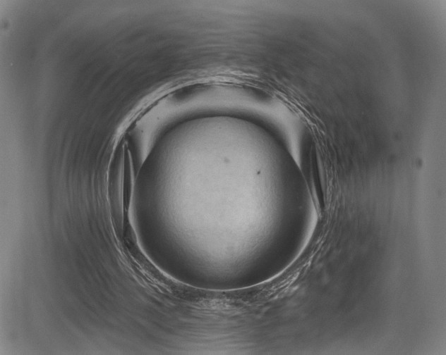 X0000085320244200703091518