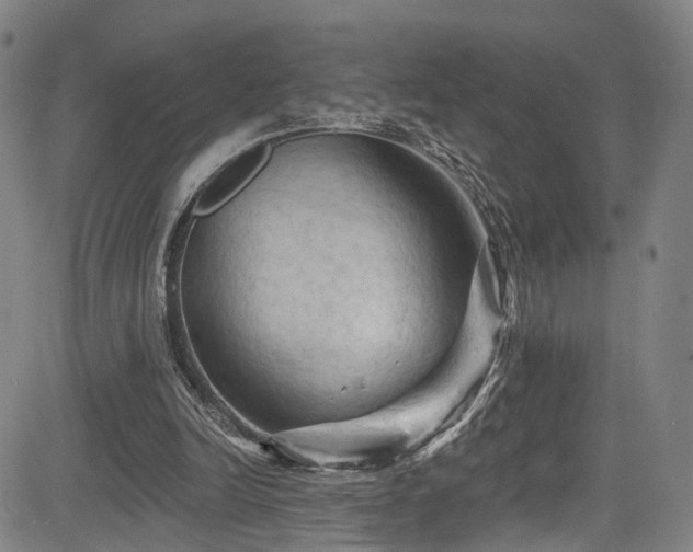 X0000085320246200703091518