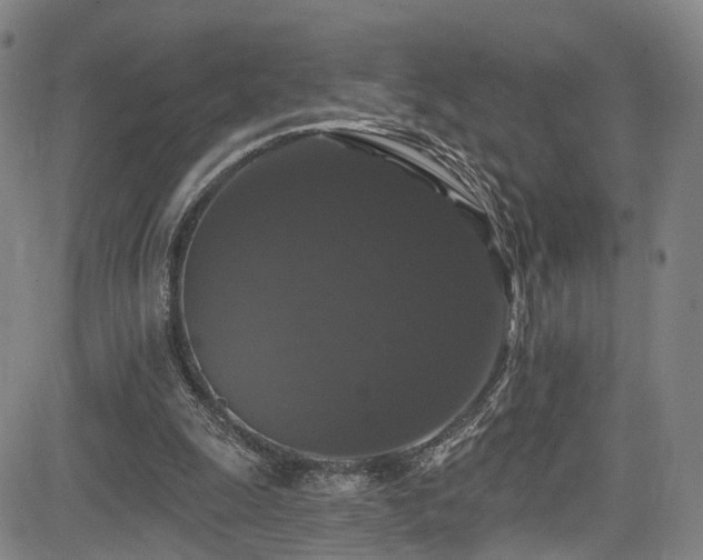 X0000085320247200703091518