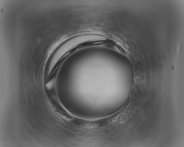 X0000085320248200703091518