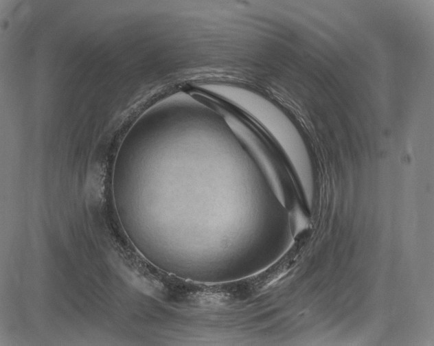 X0000085320255200703091519