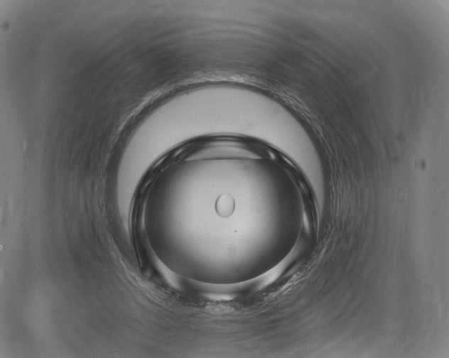 X0000085320256200703091519