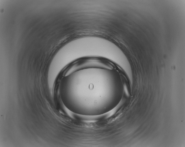X0000085320264200703091519