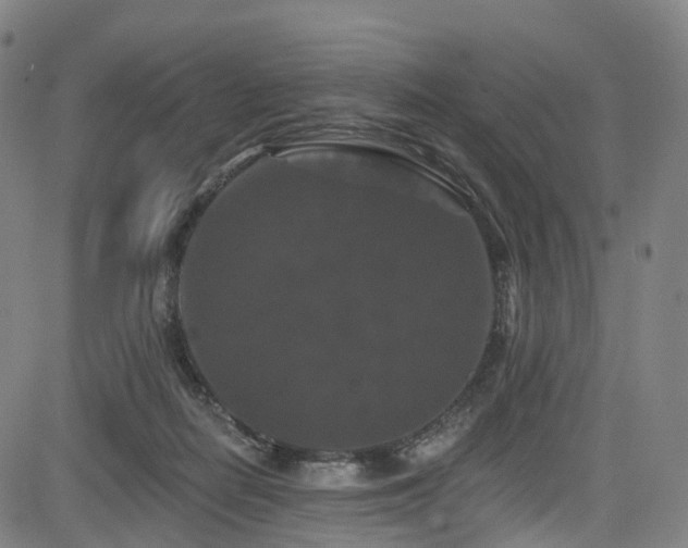 X0000085320266200703091519