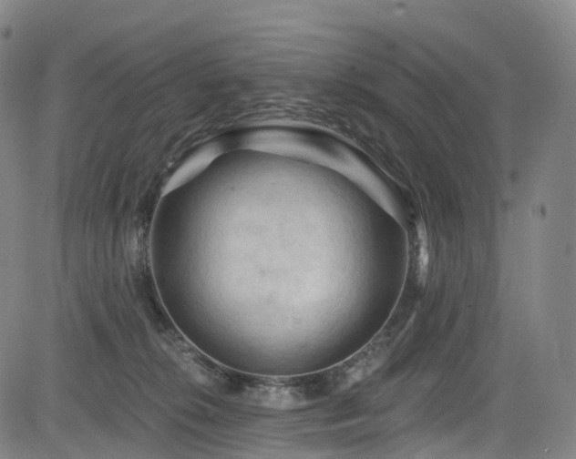 X0000085320276200703091519