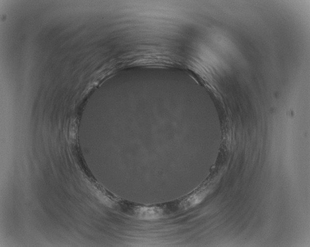 X0000085320277200703091519