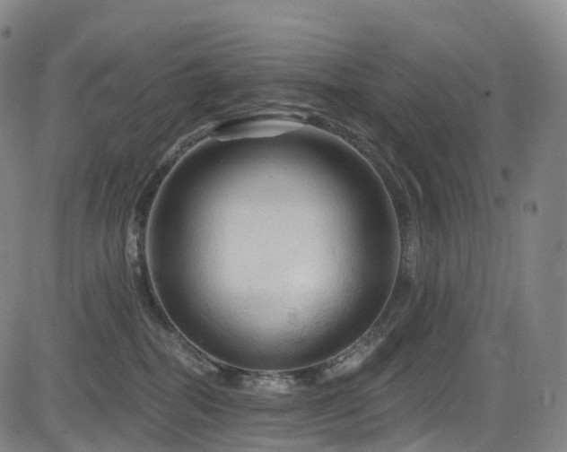 X0000085320282200703091519