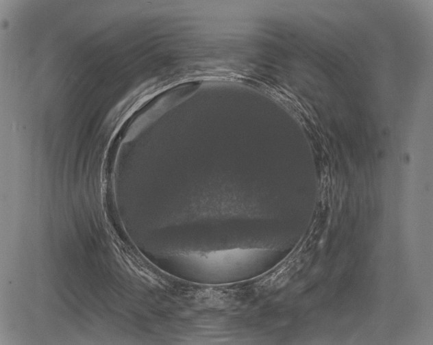 X0000085320290200703091518