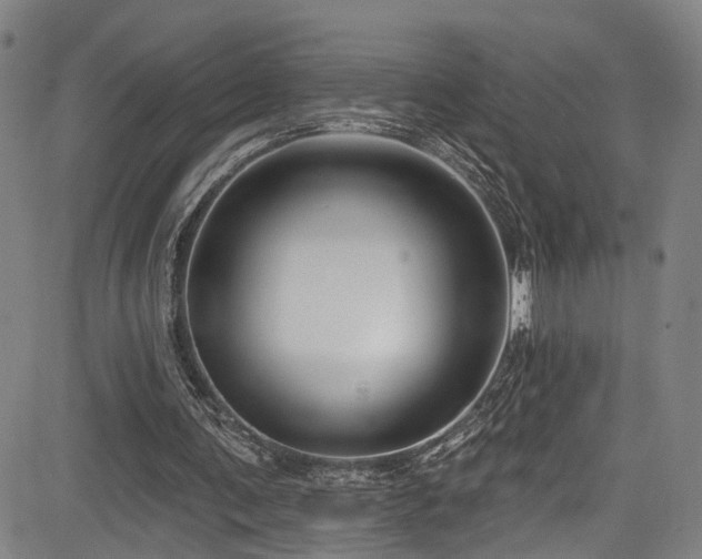 X0000085320291200703091518