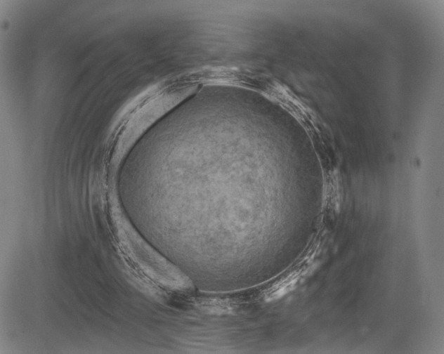 X0000085320293200703091518