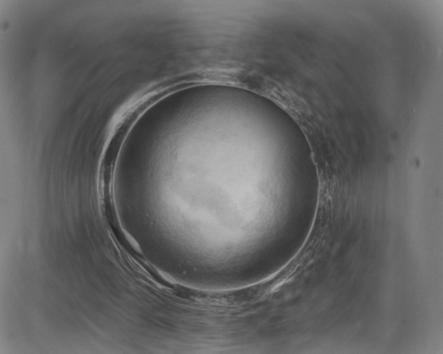 X0000085320294200703091518