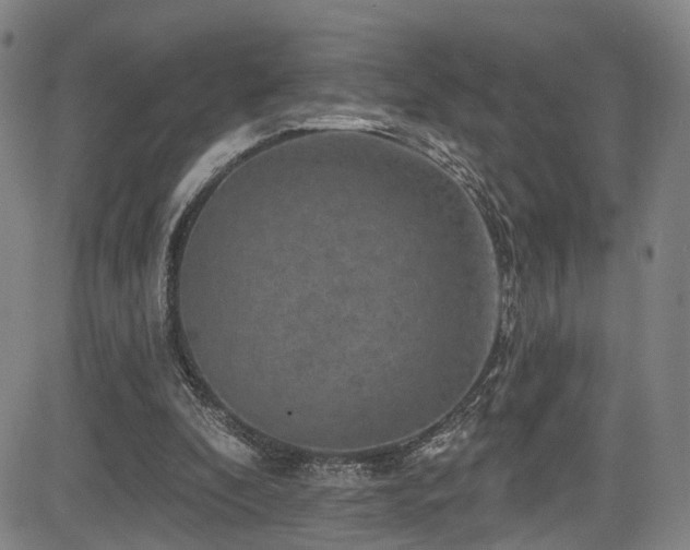 X0000085320296200703091518