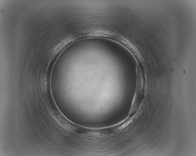 X0000085320298200703091518