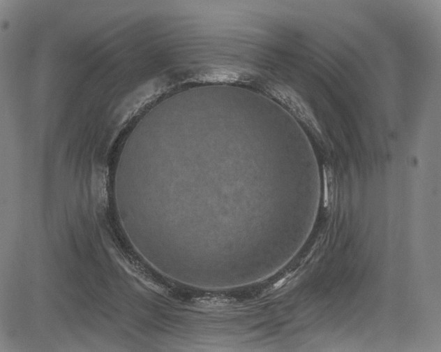 X0000085320300200703091518