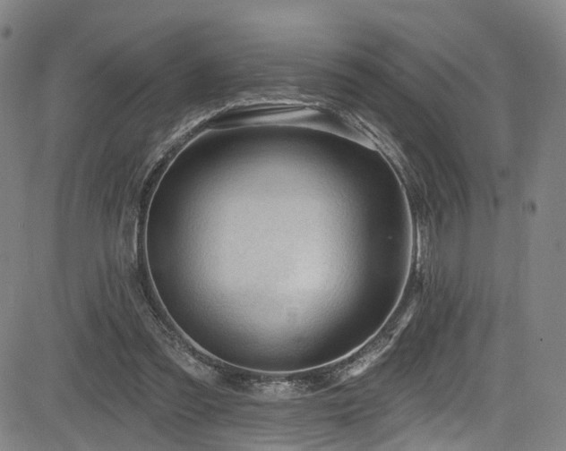 X0000085320301200703091518