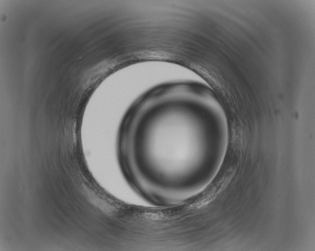 X0000085320302200703091518