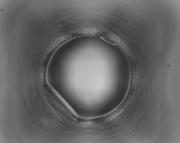 X0000085320309200703091518