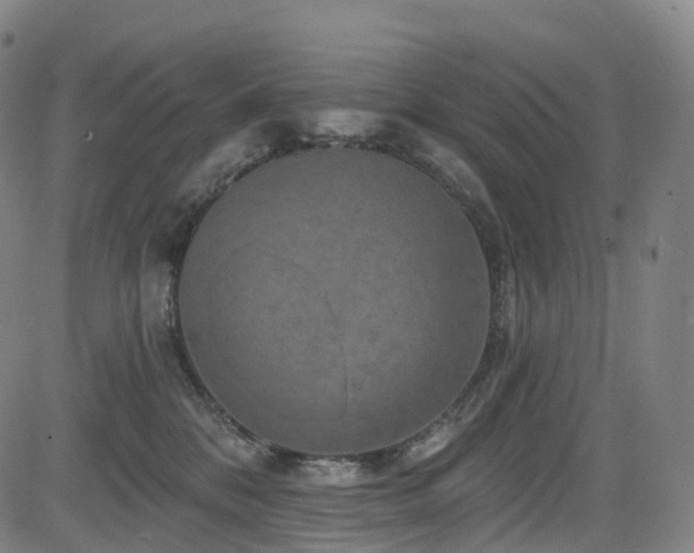 X0000085320328200703091518