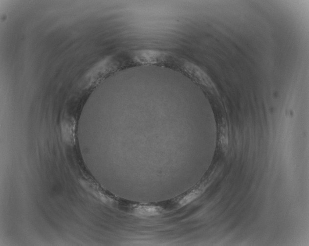 X0000085320332200703091518