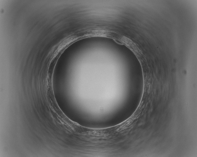 X0000085320338200703091517