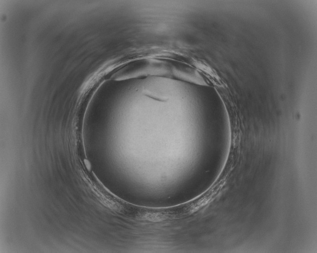 X0000085320341200703091517