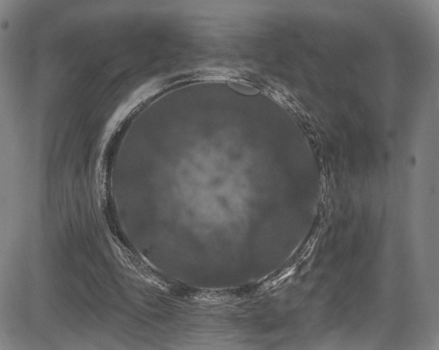 X0000085320343200703091517