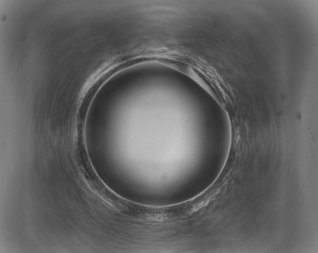 X0000085320344200703091517