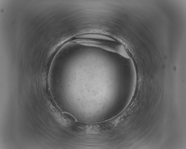 X0000085320345200703091517