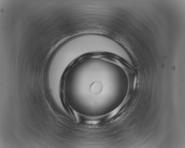 X0000085320348200703091517