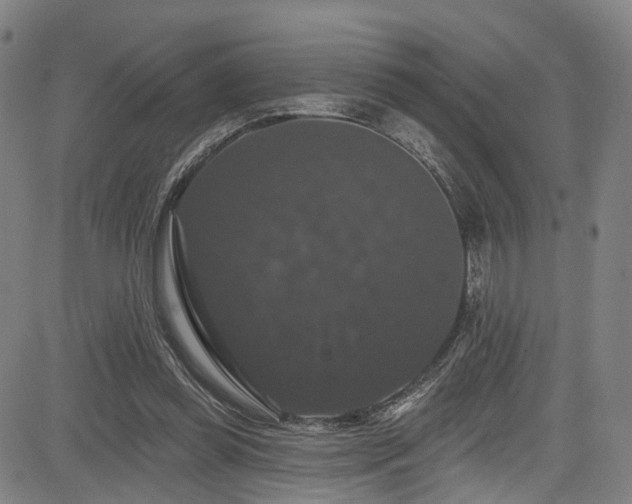 X0000085320349200703091517